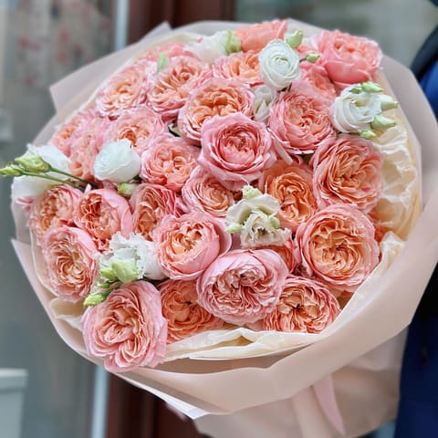 🪄 Peony Rose Julietta + Eustoma — Nomad Flowers