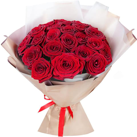25 růže — Fleur de Lys