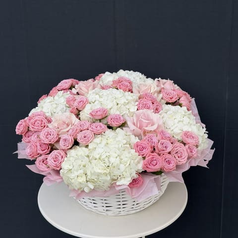 Blush Dream — Gloxinie