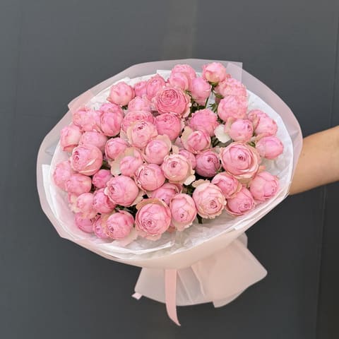 Pink Romance — Gloxinie