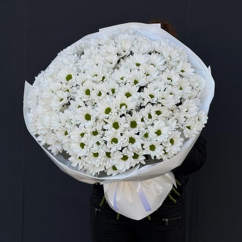 Chrysanthemum 25 — Gloxinie