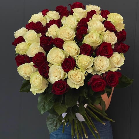Red and White — Gloxinie