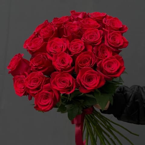 Rosa 25 — Gloxinie