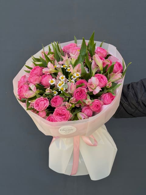 Pink Dream — Gloxinie