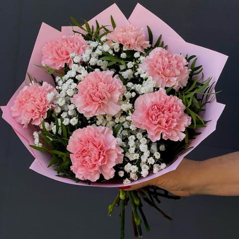 Dianthus — Gloxinie