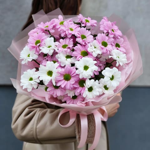 Sweet chrysanthemum 🌸 — Kvetiny s laskou