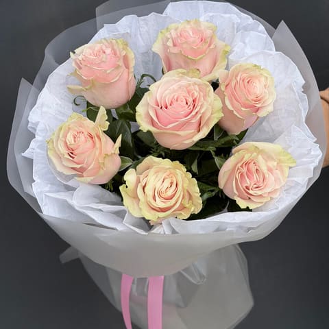 Rosa Mondial — Gloxinie