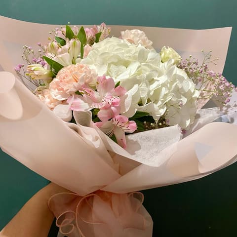 Hydroalstro — Milianna Flowers