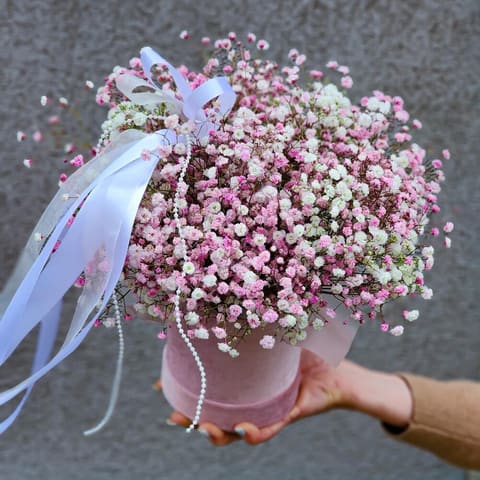 Candy Bloom ☁️🌸 — Kvetiny s laskou