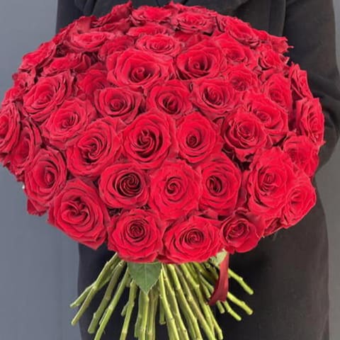 Rosa 51 — Gloxinie