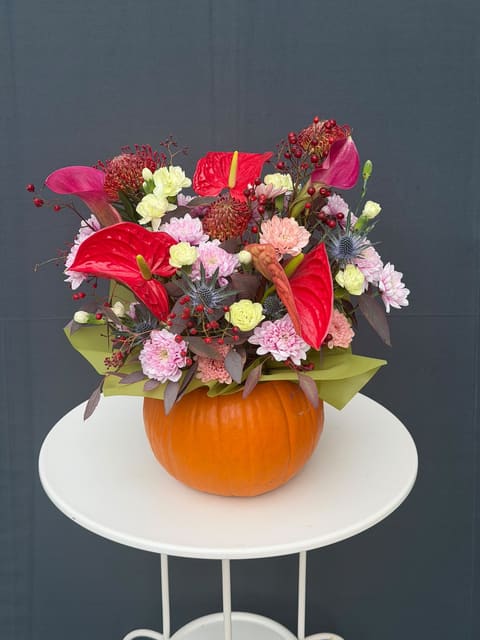 Pumpkin Queen  — Gloxinie