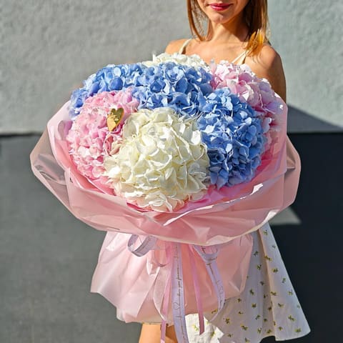 Hydrangea Dream — Kvetiny s laskou