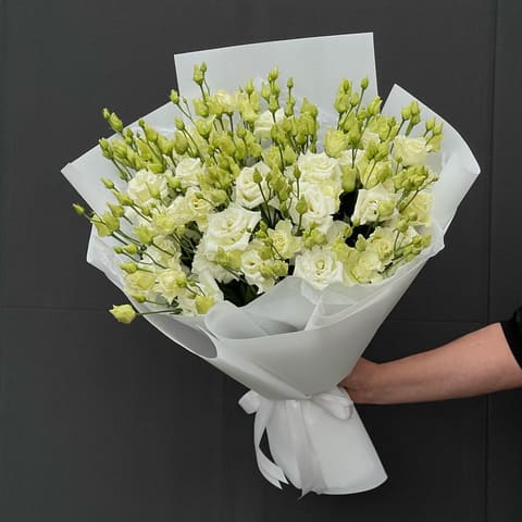 Eustoma — Gloxinie