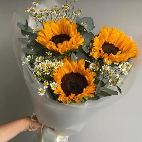 Helianthus + Tanacetum — Gloxinie