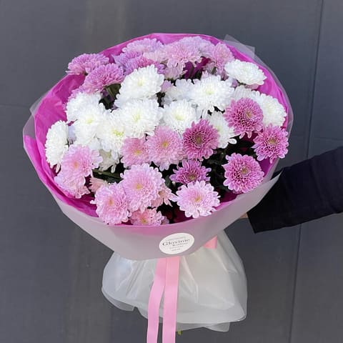 Chrysanthemummm — Gloxinie