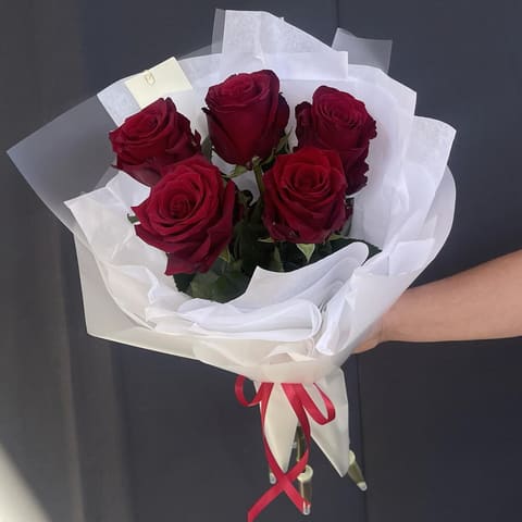 Rosa 5 — Gloxinie