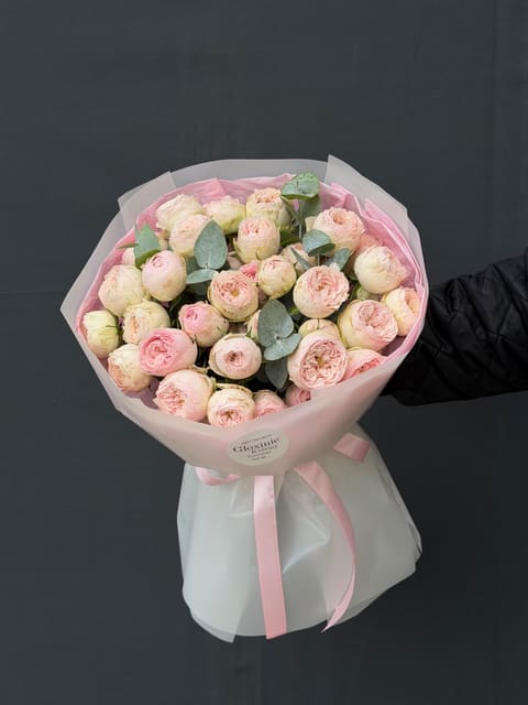 Piones Rosa — Gloxinie
