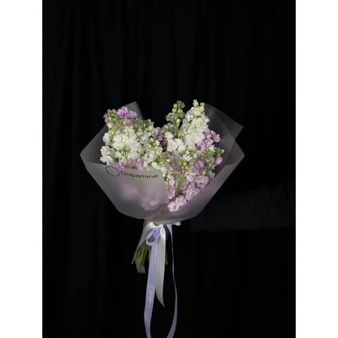 Matthiola Bouquet — Dopamine