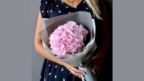 🩷 Pink Cloud — Fleur de Lys