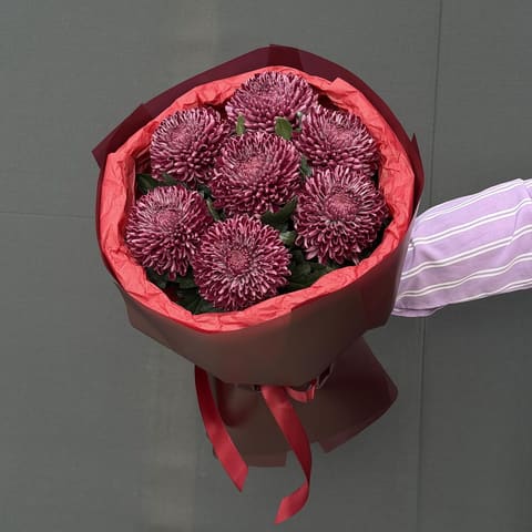 Chrysanthemum 7 — Gloxinie
