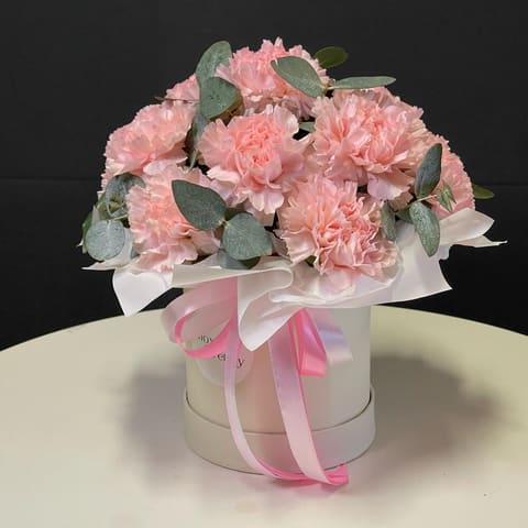 Dianthus 13 — Gloxinie