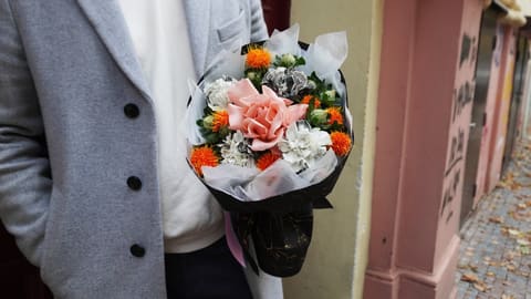 🌹 Šípková Růžička — Fleur de Lys