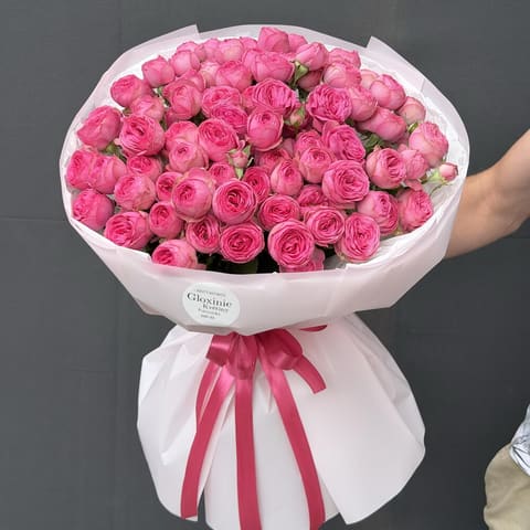 Sweet Rose — Gloxinie