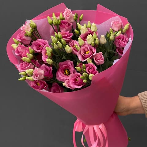 Eustoma Pink — Gloxinie