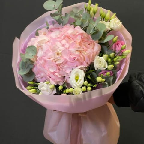 Pure Pink — Gloxinie