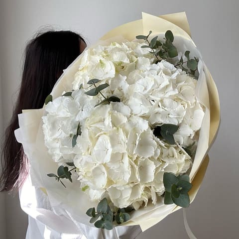 White hortenzie — FlowerVibe