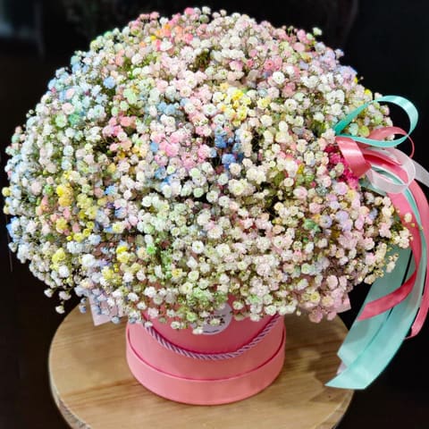 Gypsophila flowers in a box — Kvetiny s laskou