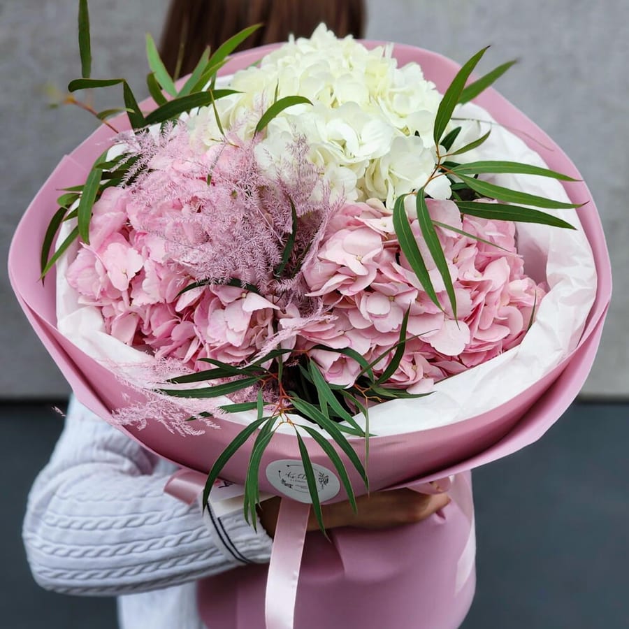 The tenderness of hydrangeas
