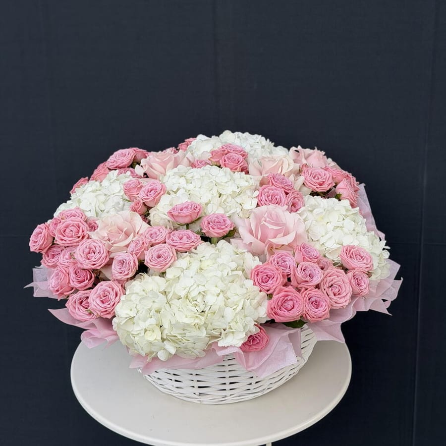 Blush Dream