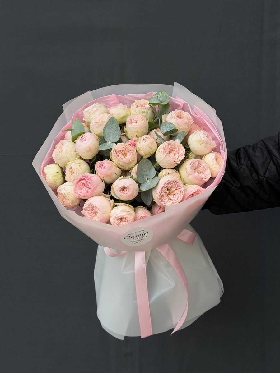 Piones Rosa