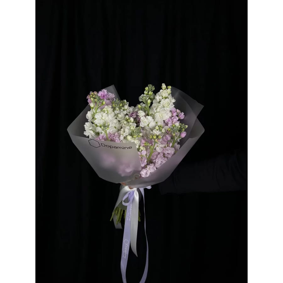 Matthiola Bouquet 13 pcs