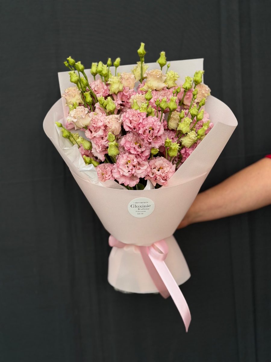Eustoma 7